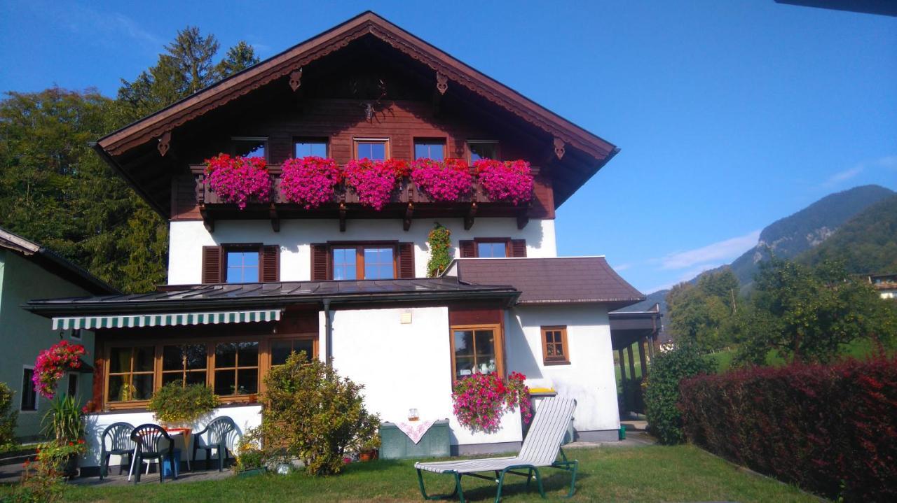 Apartment Scheibling