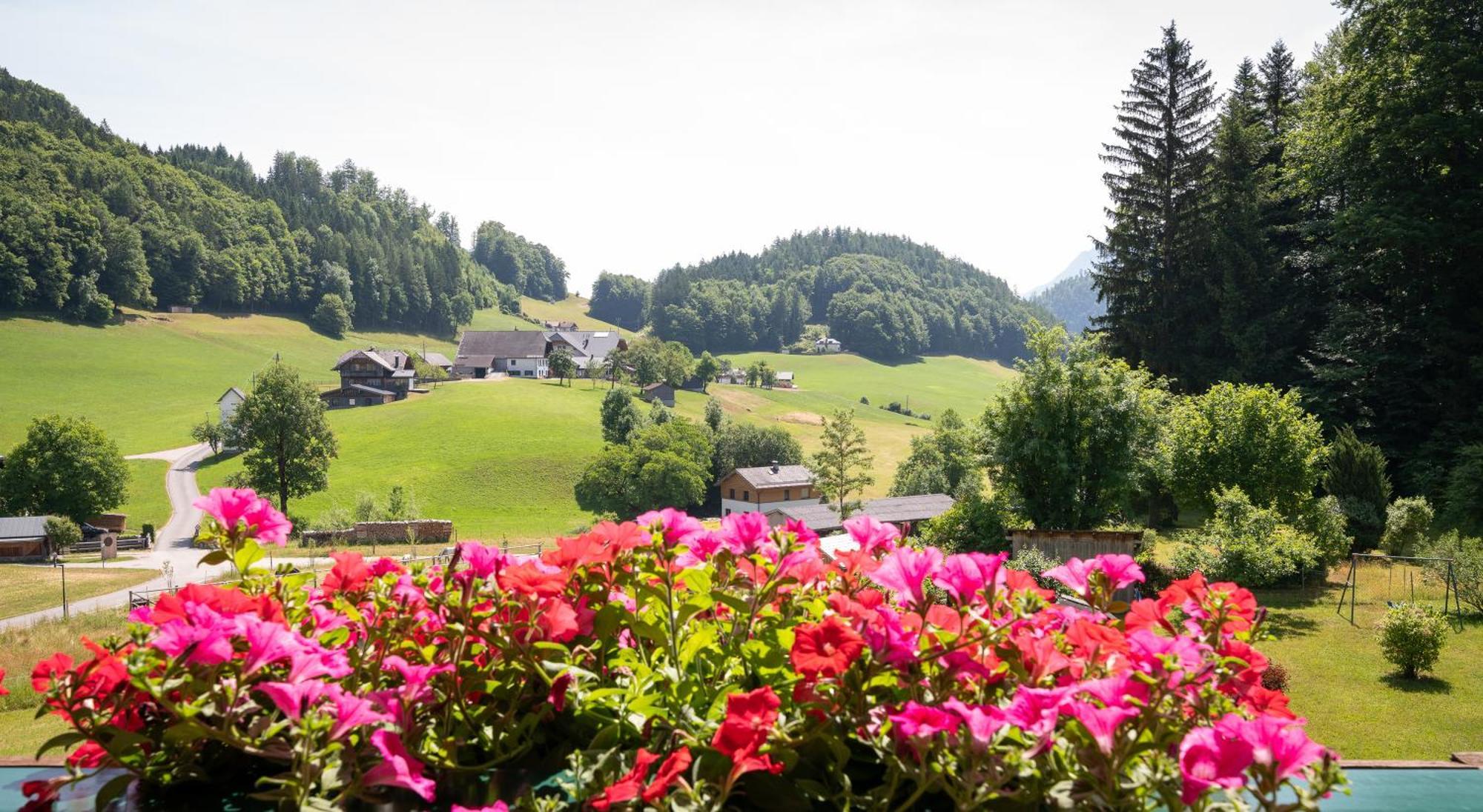 Apartmán Scheibling